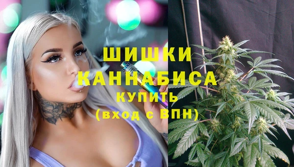 Альфа ПВП Дмитровск