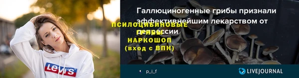 Альфа ПВП Дмитровск