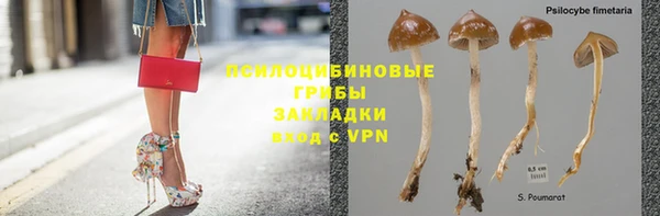Альфа ПВП Дмитровск