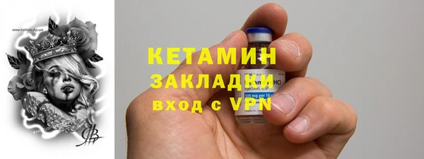 индика Елабуга