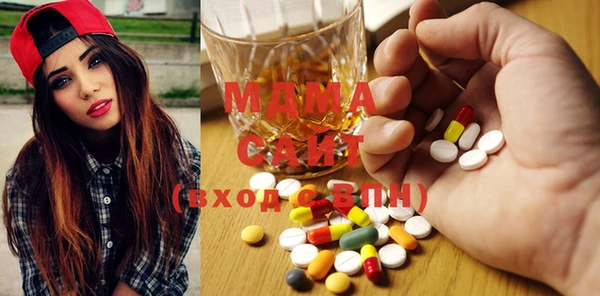 индика Елабуга