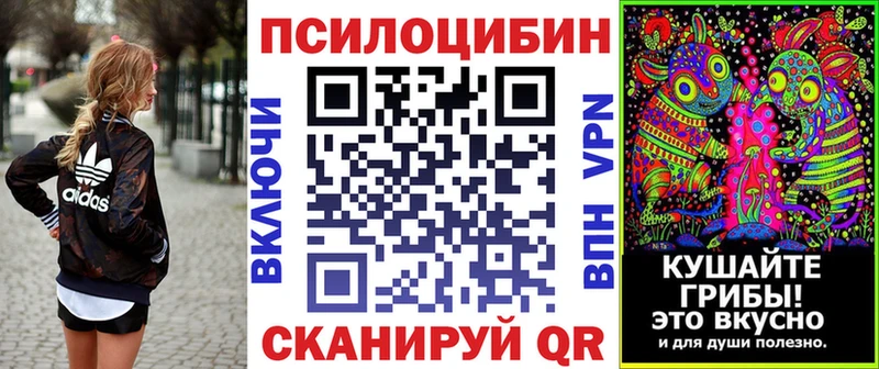 Купить где  Томмот  Псилоцибиновые грибы прущие грибы 